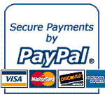 paypal ecommerce logo